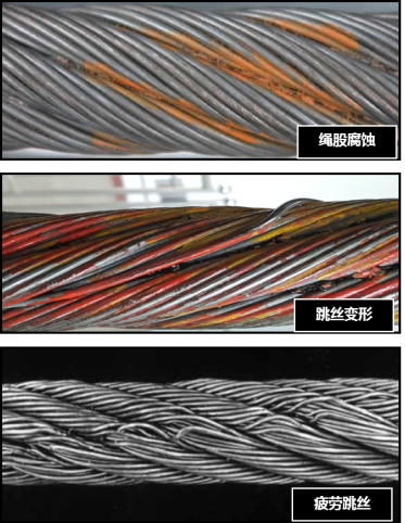 免费看片视频网站