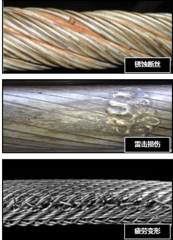免费看片视频网站